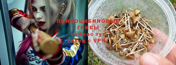 дурь Абинск