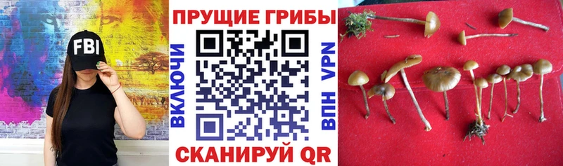 Псилоцибиновые грибы ЛСД  Галич 